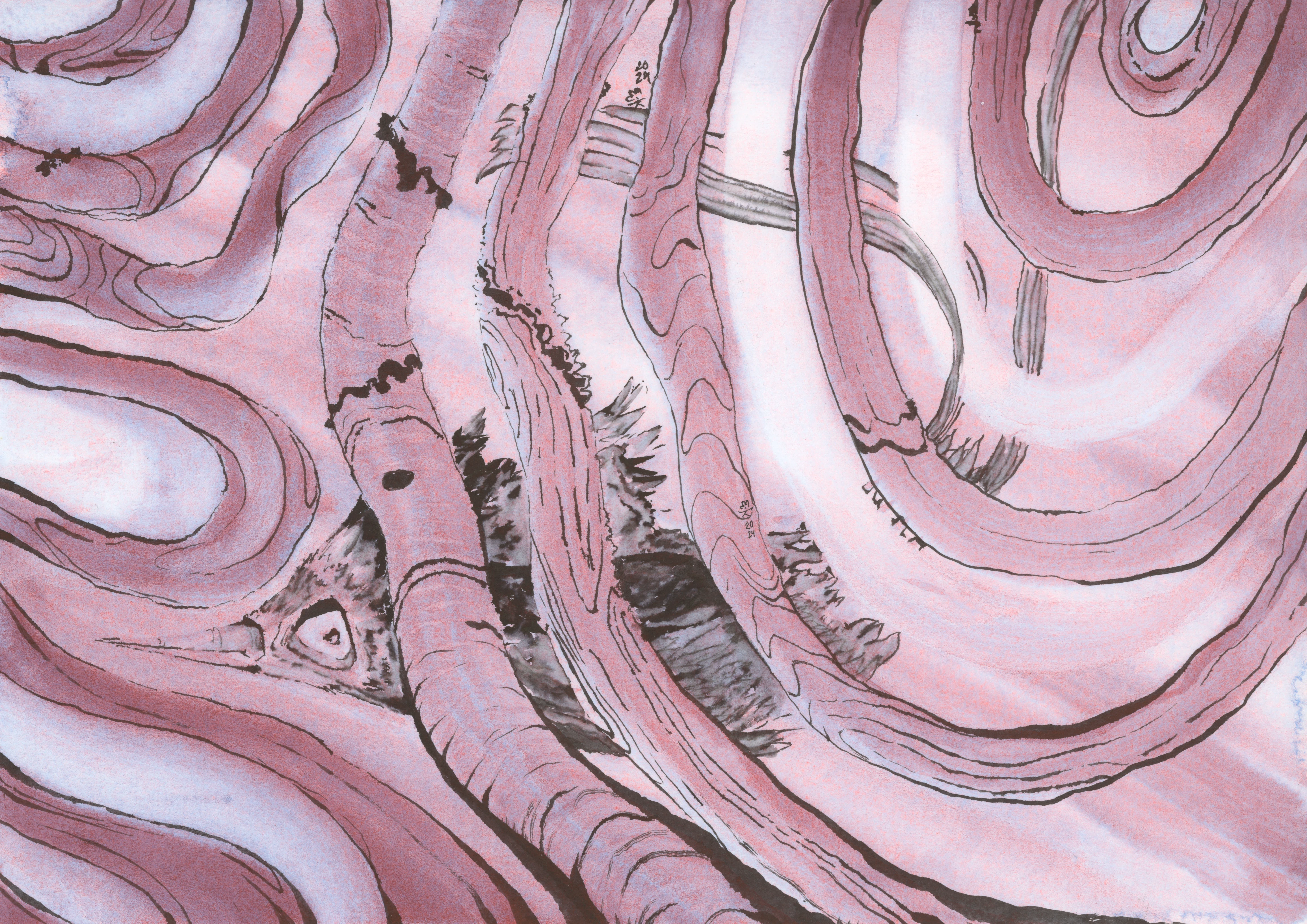 Abstract pink branch-like structures featuring a hidden woodpecker.